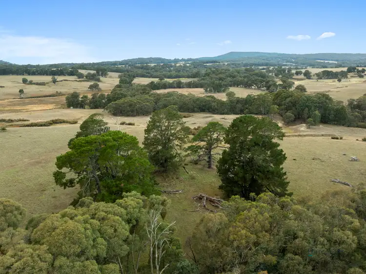 Seventh view of Homely rural property listing, Lot 1 Ankers Road, Boho South VIC 3669