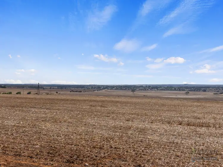 Third view of Homely house listing, 191 Dans Road, Curramulka SA 5580