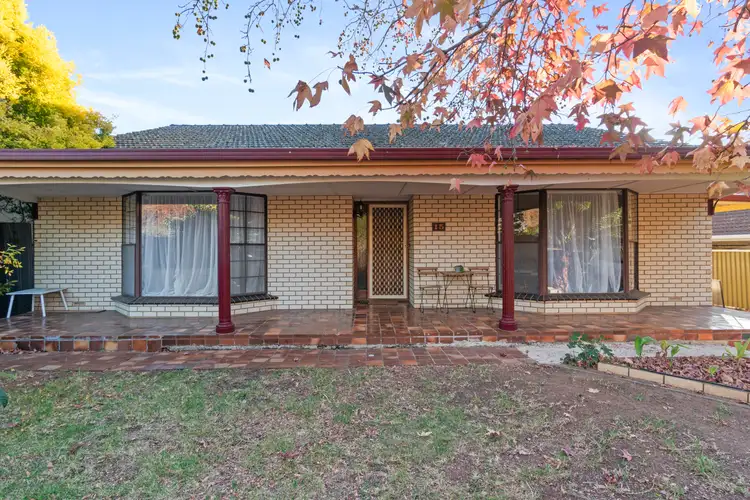 15 Laurel Avenue, Linden Park SA 5065