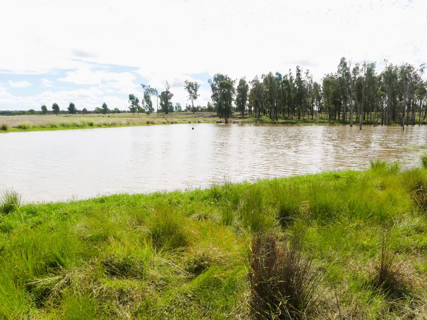 Main view of Homely rural property listing, 860 Coates Road "Mt Myrtle", Drillham QLD 4424