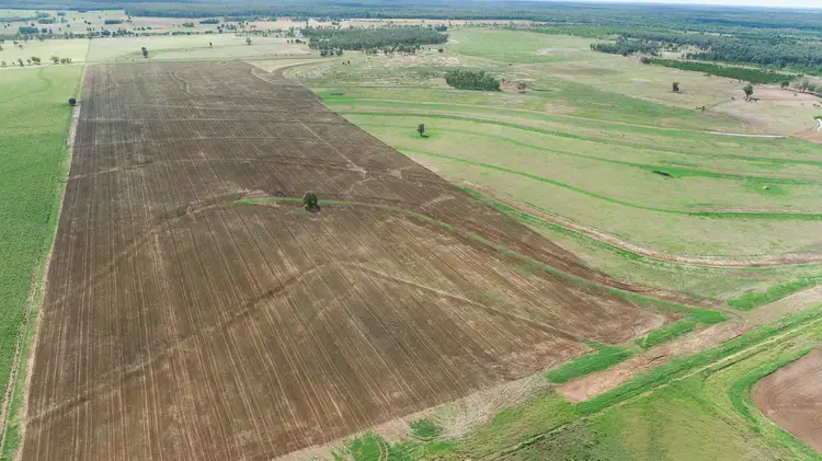 Fourth view of Homely rural property listing, 860 Coates Road "Mt Myrtle", Drillham QLD 4424