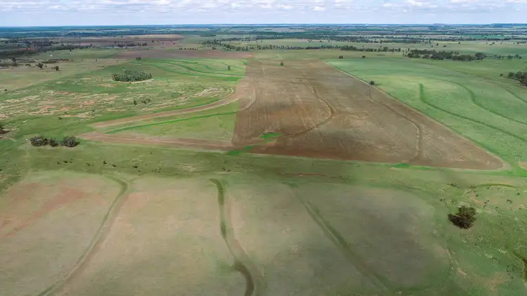 Fifth view of Homely rural property listing, 860 Coates Road "Mt Myrtle", Drillham QLD 4424