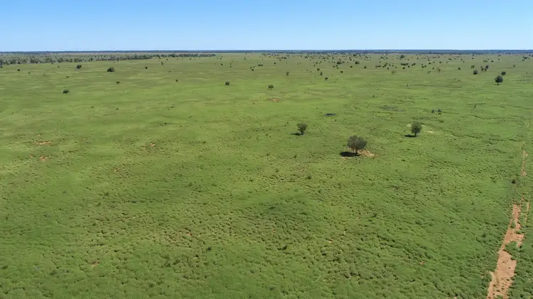Fourth view of Homely rural property listing, "Bonavista" 13724 Mitchell - St George road, Roma QLD 4455