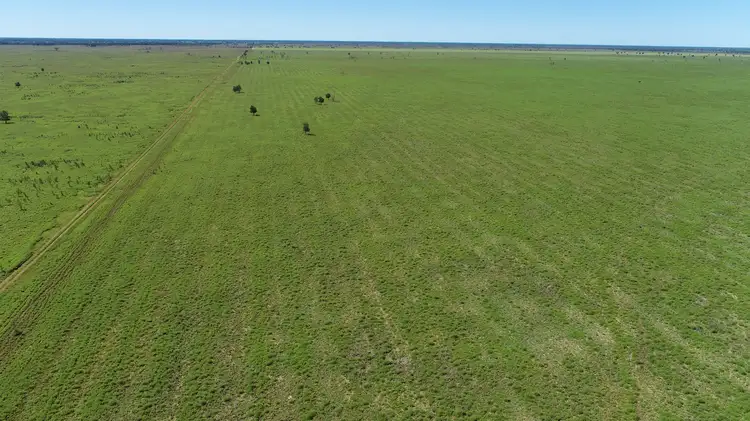 Fifth view of Homely rural property listing, "Bonavista" 13724 Mitchell - St George road, Roma QLD 4455