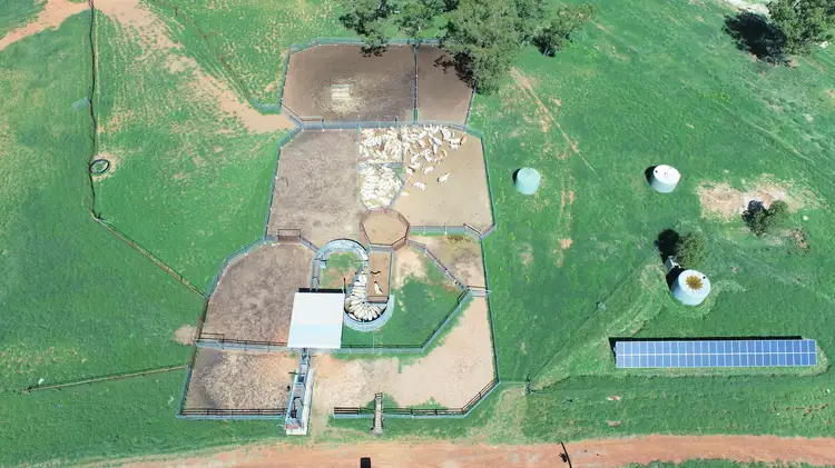 Sixth view of Homely rural property listing, "Bonavista" 13724 Mitchell - St George road, Roma QLD 4455