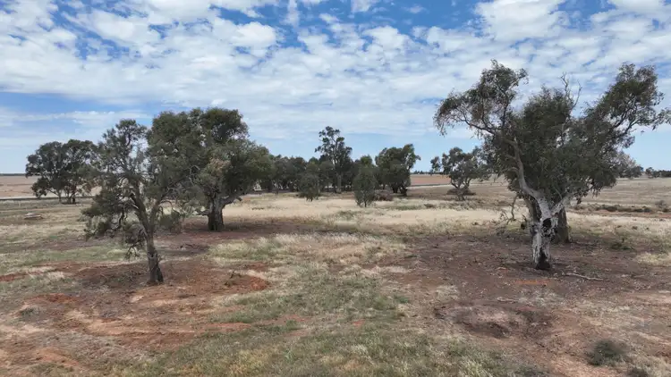 Sixth view of Homely rural property listing, Lot 2 Leetham Rd, Deniliquin NSW 2710