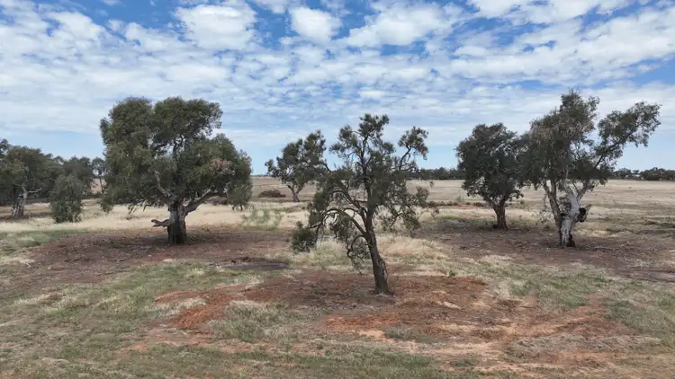 Seventh view of Homely rural property listing, Lot 2 Leetham Rd, Deniliquin NSW 2710