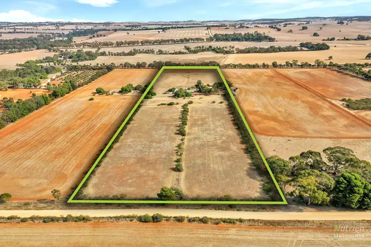 Second view of Homely rural property listing, 199 Blocks Rd, Riverton SA 5412