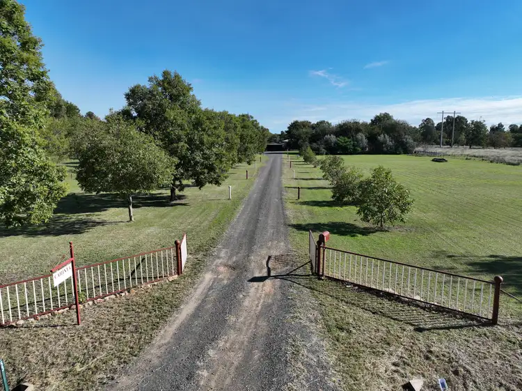 Fifth view of Homely house listing, 53 Stafford Drive, Narrabri NSW 2390