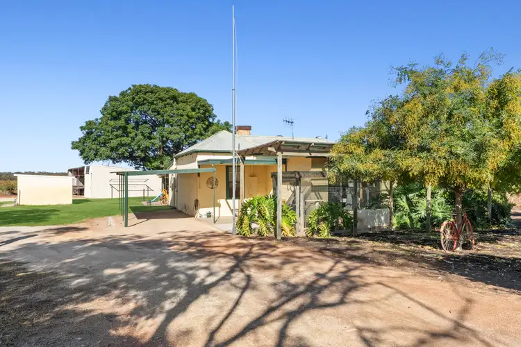 Main view of Homely house listing, 31 WH Swinstead Road, Winkie SA 5343