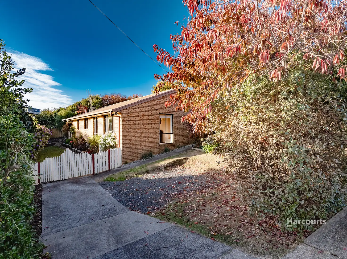 Main view of Homely house listing, 8 Mortimer Road, Penguin TAS 7316