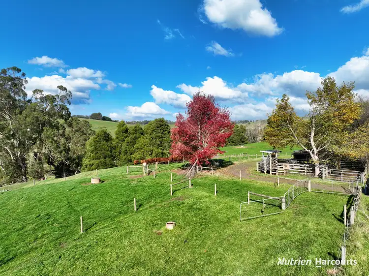 175 Fishers Road, Boolarra South VIC 3870