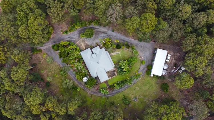Main view of Homely house listing, 11431 Princes Highway, Surfside NSW 2536