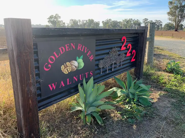 Second view of Homely rural property listing, 222 Koondrook West Road, Koondrook VIC 3580