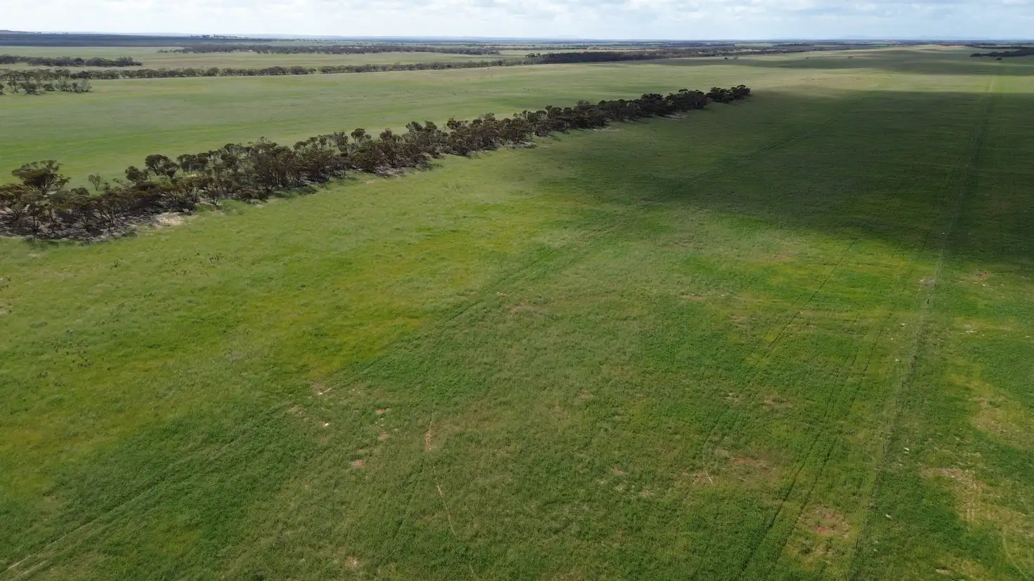 Main view of Homely rural property listing, Lot 18 Tod Highway, Warramboo SA 5650