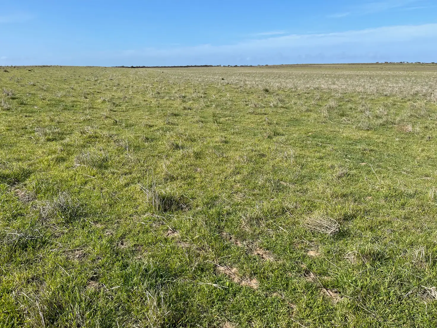 Main view of Homely rural property listing, Lot 18 Tod Highway, Warramboo SA 5650