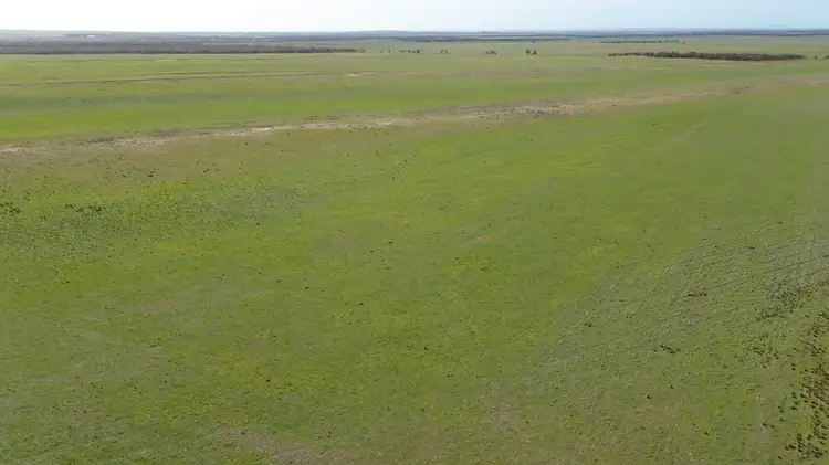 Second view of Homely rural property listing, Lot 18 Tod Highway, Warramboo SA 5650
