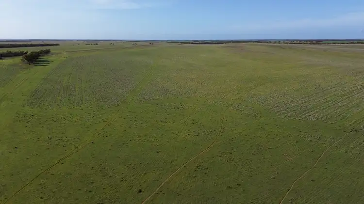 Third view of Homely rural property listing, Lot 18 Tod Highway, Warramboo SA 5650
