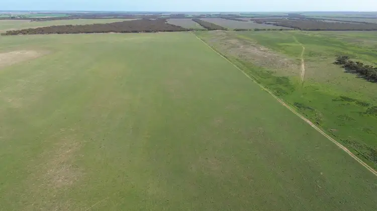 Fifth view of Homely rural property listing, Lot 18 Tod Highway, Warramboo SA 5650