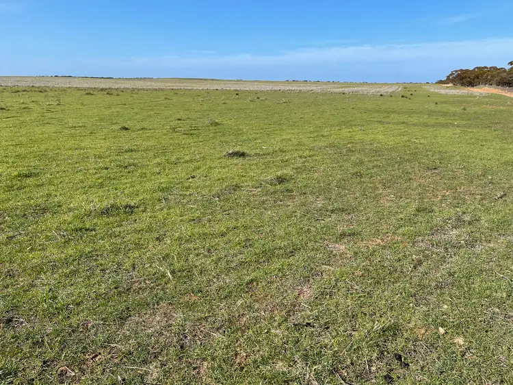 Sixth view of Homely rural property listing, Lot 18 Tod Highway, Warramboo SA 5650
