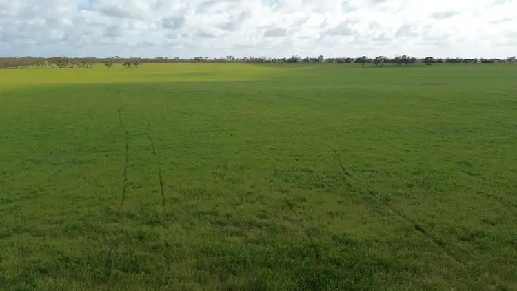 Seventh view of Homely rural property listing, Lot 18 Tod Highway, Warramboo SA 5650