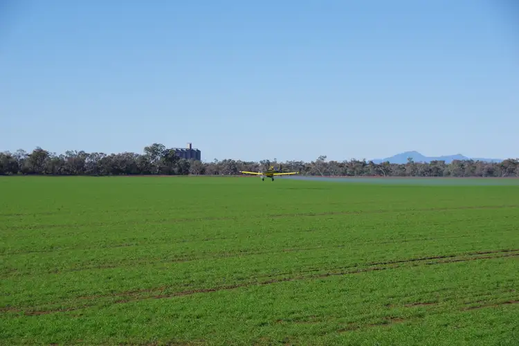 Main view of Homely rural property listing, 202 Vera Leap Road, Wee Waa NSW 2388