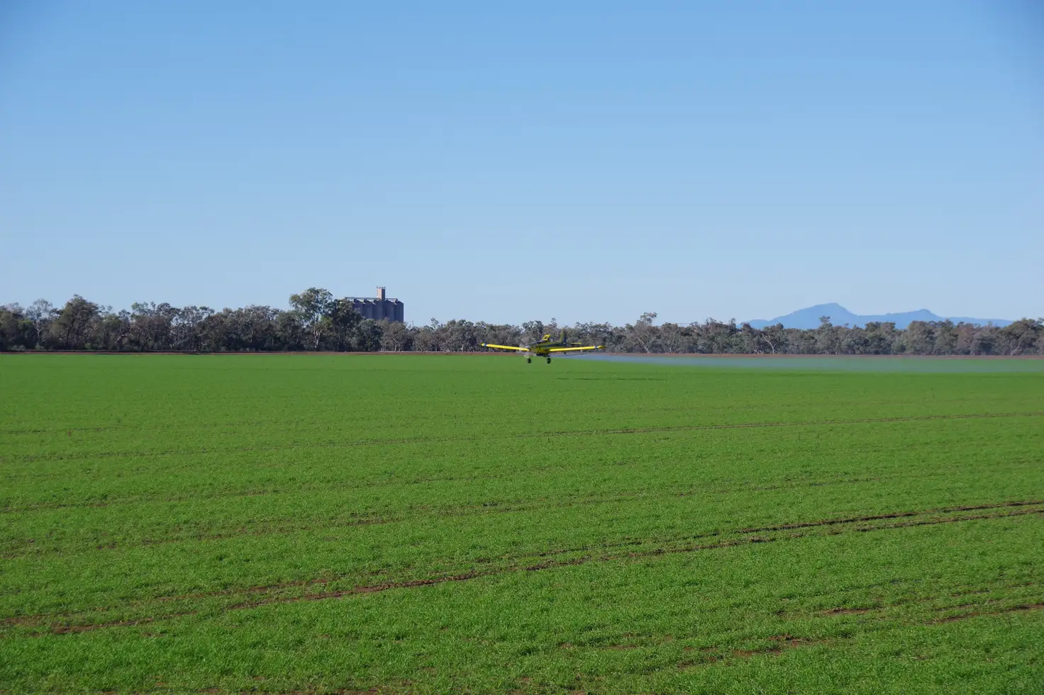 Main view of Homely rural property listing, 202 Vera Leap Road, Wee Waa NSW 2388