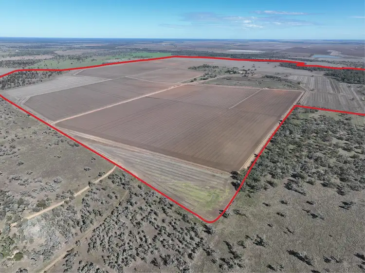 Third view of Homely rural property listing, 202 Vera Leap Road, Wee Waa NSW 2388