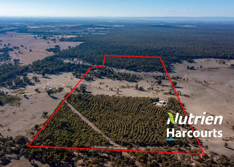 Main view of Homely rural property listing, Lot 2 Forest Road, Killawarra VIC 3678