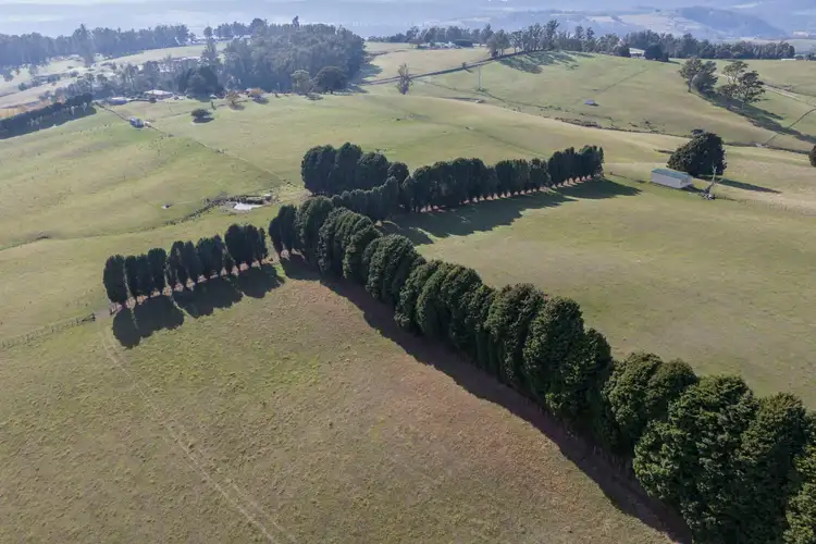 Sixth view of Homely rural property listing, Lot 2 Rowleys Hill Road, Karoola TAS 7267