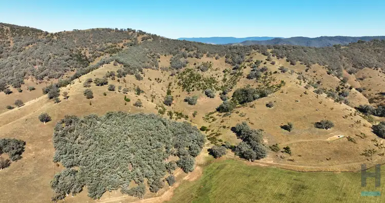 Fourth view of Homely rural property listing, 570B Bald Hills Creek Road, Swifts Creek VIC 3896