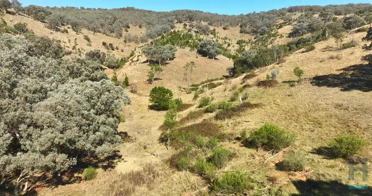 Fifth view of Homely rural property listing, 570B Bald Hills Creek Road, Swifts Creek VIC 3896