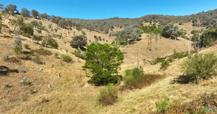 Sixth view of Homely rural property listing, 570B Bald Hills Creek Road, Swifts Creek VIC 3896