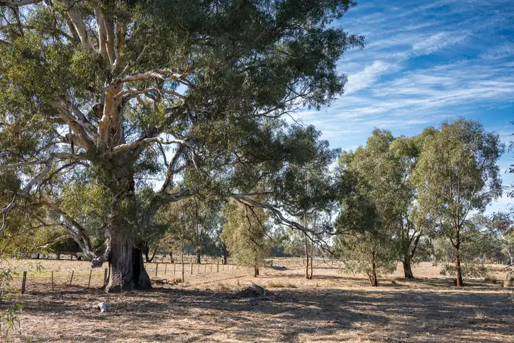 CA29 Golden Vale Road, Benalla VIC 3672