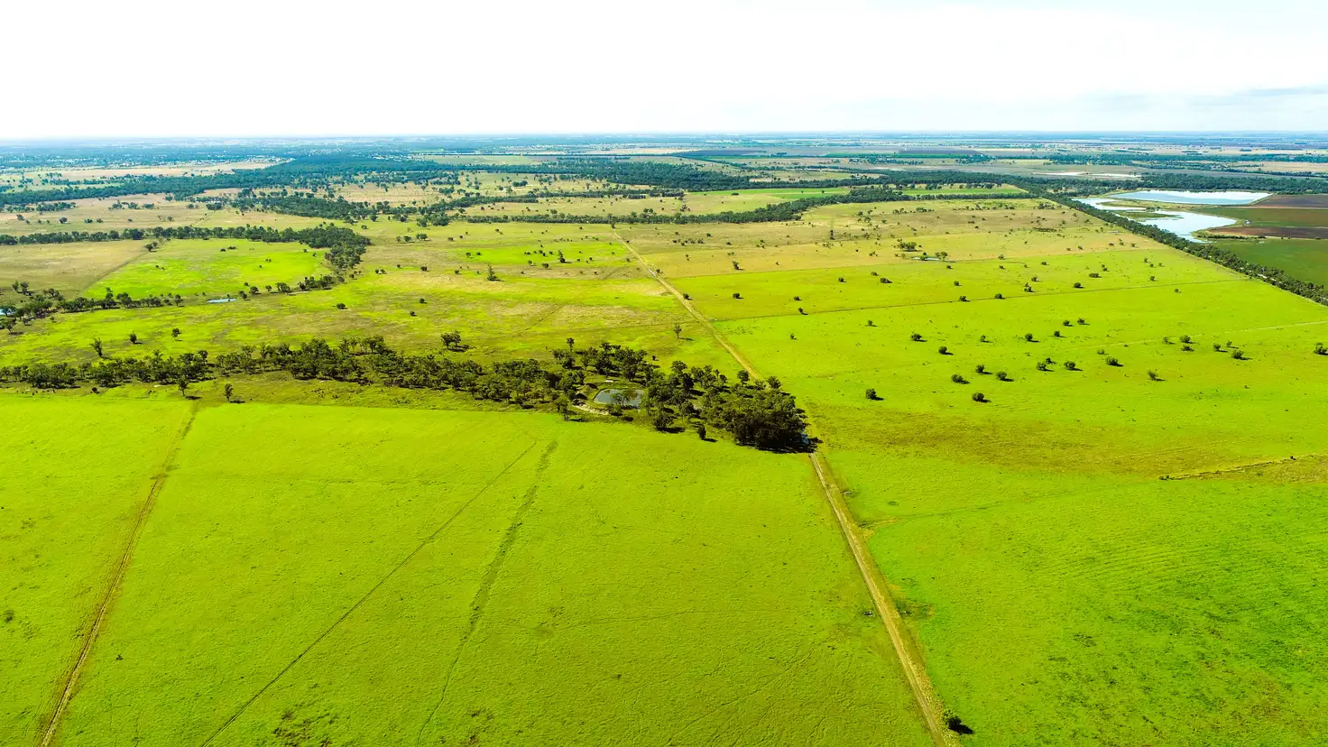 Main view of Homely rural property listing, 'Moriah' 671 Hopelands School Road, Chinchilla QLD 4413