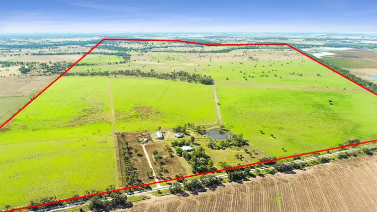 Sixth view of Homely rural property listing, 'Moriah' 671 Hopelands School Road, Chinchilla QLD 4413