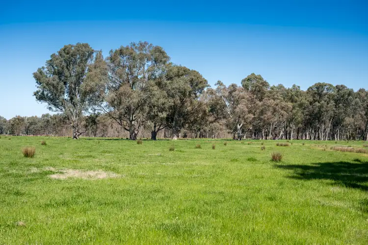 Fifth view of Homely rural property listing, CA32 Baddaginnie-Benalla Road, Benalla VIC 3672