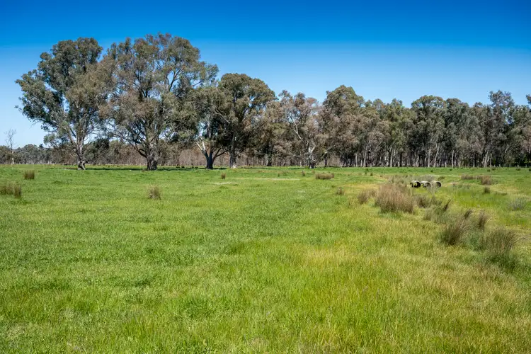 Sixth view of Homely rural property listing, CA32 Baddaginnie-Benalla Road, Benalla VIC 3672