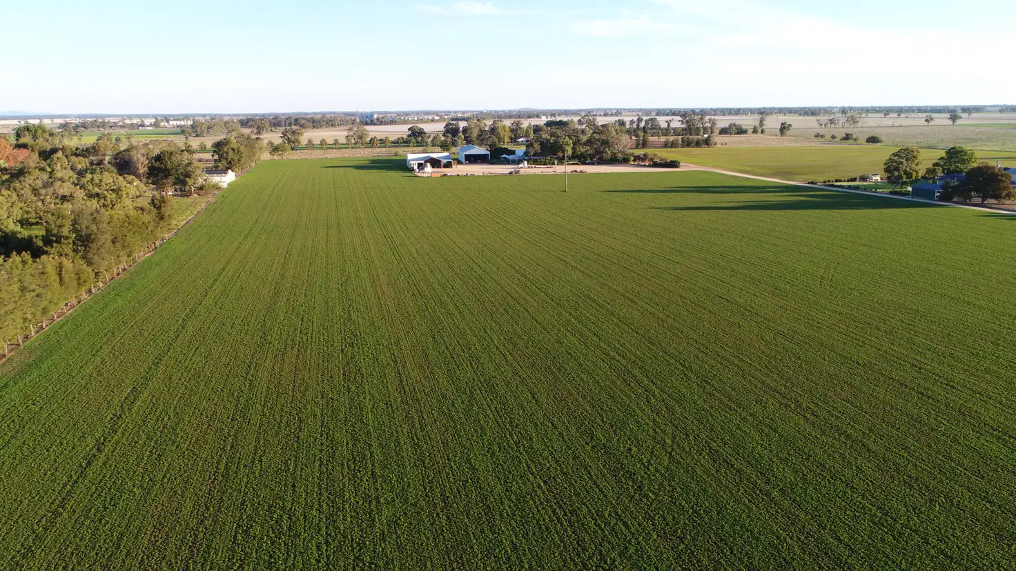 Main view of Homely rural property listing, 149 Old Backwater Rd, Narromine NSW 2821