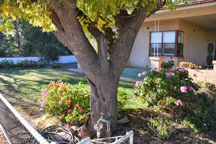 Second view of Homely house listing, 15 Dignan St, Wilmington SA 5485