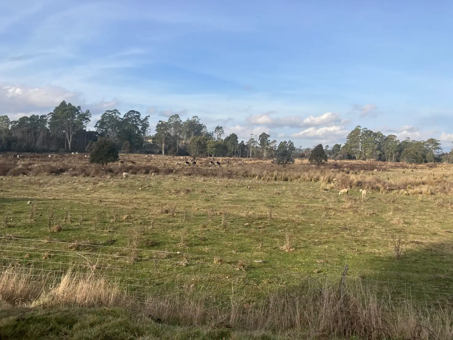 Main view of Homely rural property listing, 317 South Nietta Road, Nietta TAS 7315