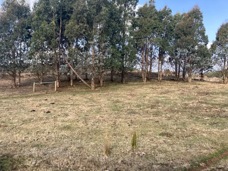 Fifth view of Homely rural property listing, 317 South Nietta Road, Nietta TAS 7315