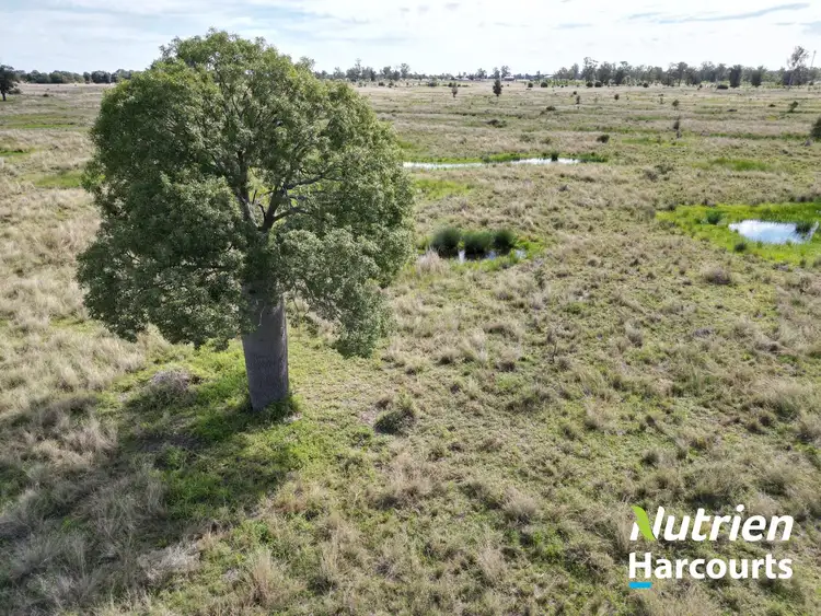 Fifth view of Homely rural property listing, "Bottletree" 668 Red Hill Road, Chinchilla QLD 4413