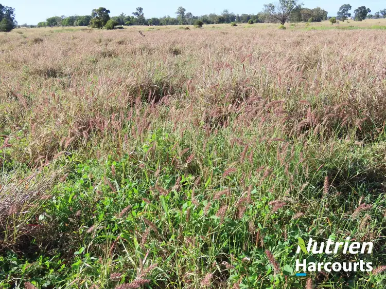 Sixth view of Homely rural property listing, "Bottletree" 668 Red Hill Road, Chinchilla QLD 4413