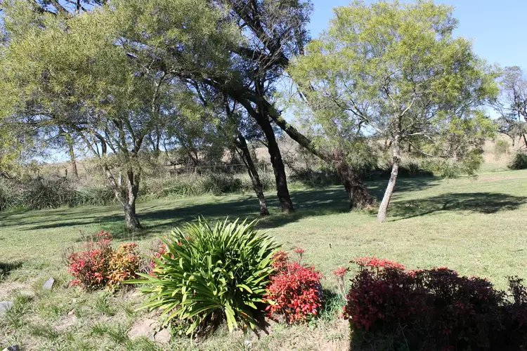 Second view of Homely house listing, 8 Berlang Forest Road, Braidwood NSW 2622
