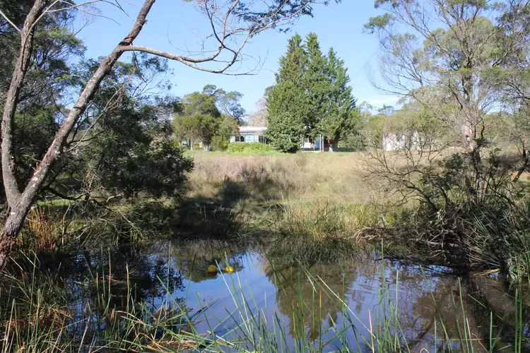 Fifth view of Homely house listing, 8 Berlang Forest Road, Braidwood NSW 2622