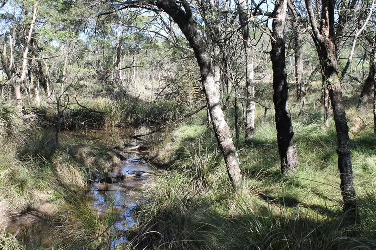 Seventh view of Homely house listing, 8 Berlang Forest Road, Braidwood NSW 2622