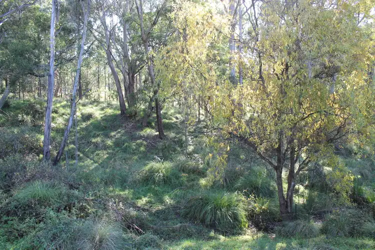 Fourth view of Homely rural property listing, 5227 Captains Flat Road, Braidwood NSW 2622
