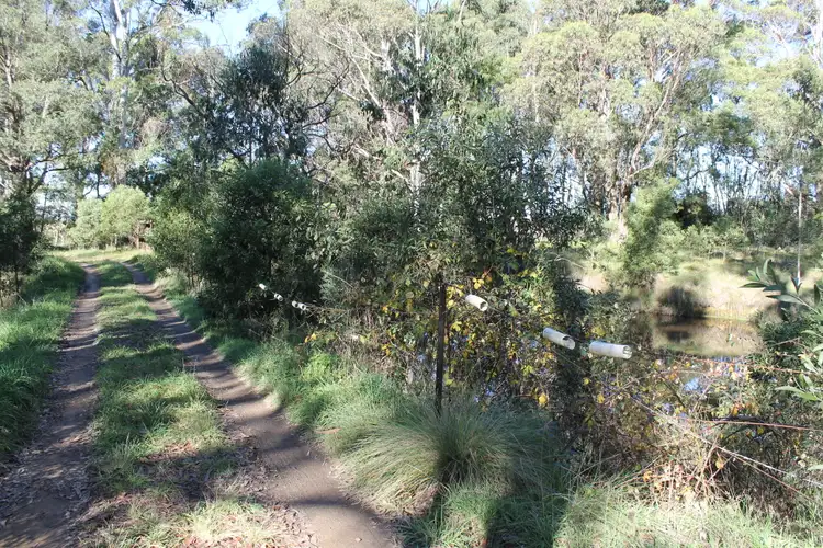 Fifth view of Homely rural property listing, 5227 Captains Flat Road, Braidwood NSW 2622