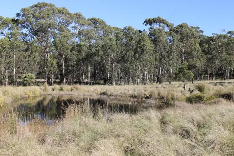 Seventh view of Homely rural property listing, 5227 Captains Flat Road, Braidwood NSW 2622